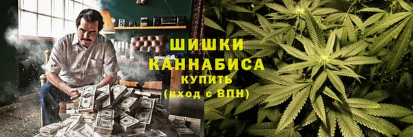 сатива Алексин
