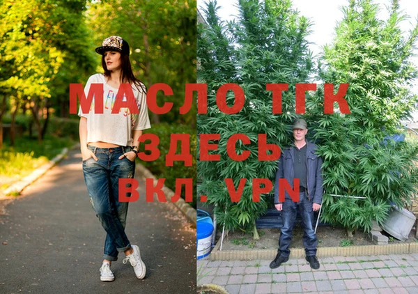 ГАЛЛЮЦИНОГЕННЫЕ ГРИБЫ Белокуриха