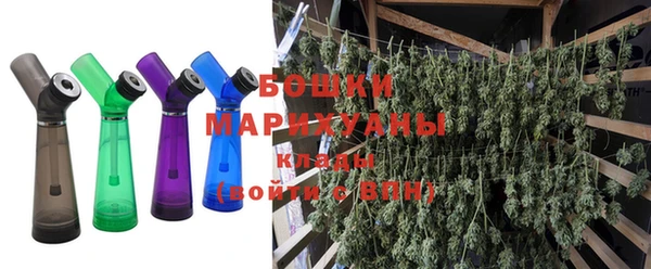 ГАЛЛЮЦИНОГЕННЫЕ ГРИБЫ Белокуриха