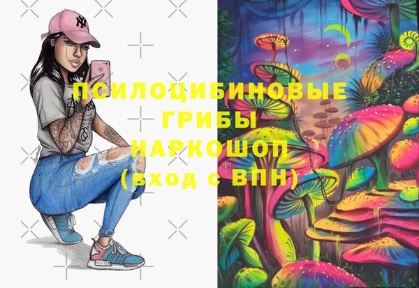 сатива Алексин