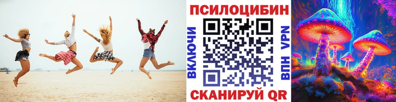 магазин    Певек  Псилоцибиновые грибы мухоморы 